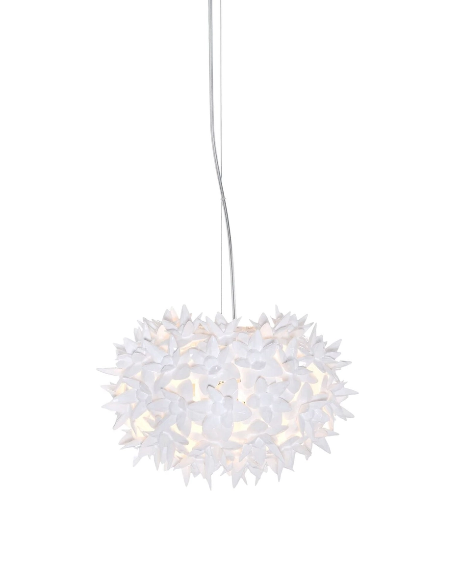 BLOOM  HANGING SMALL