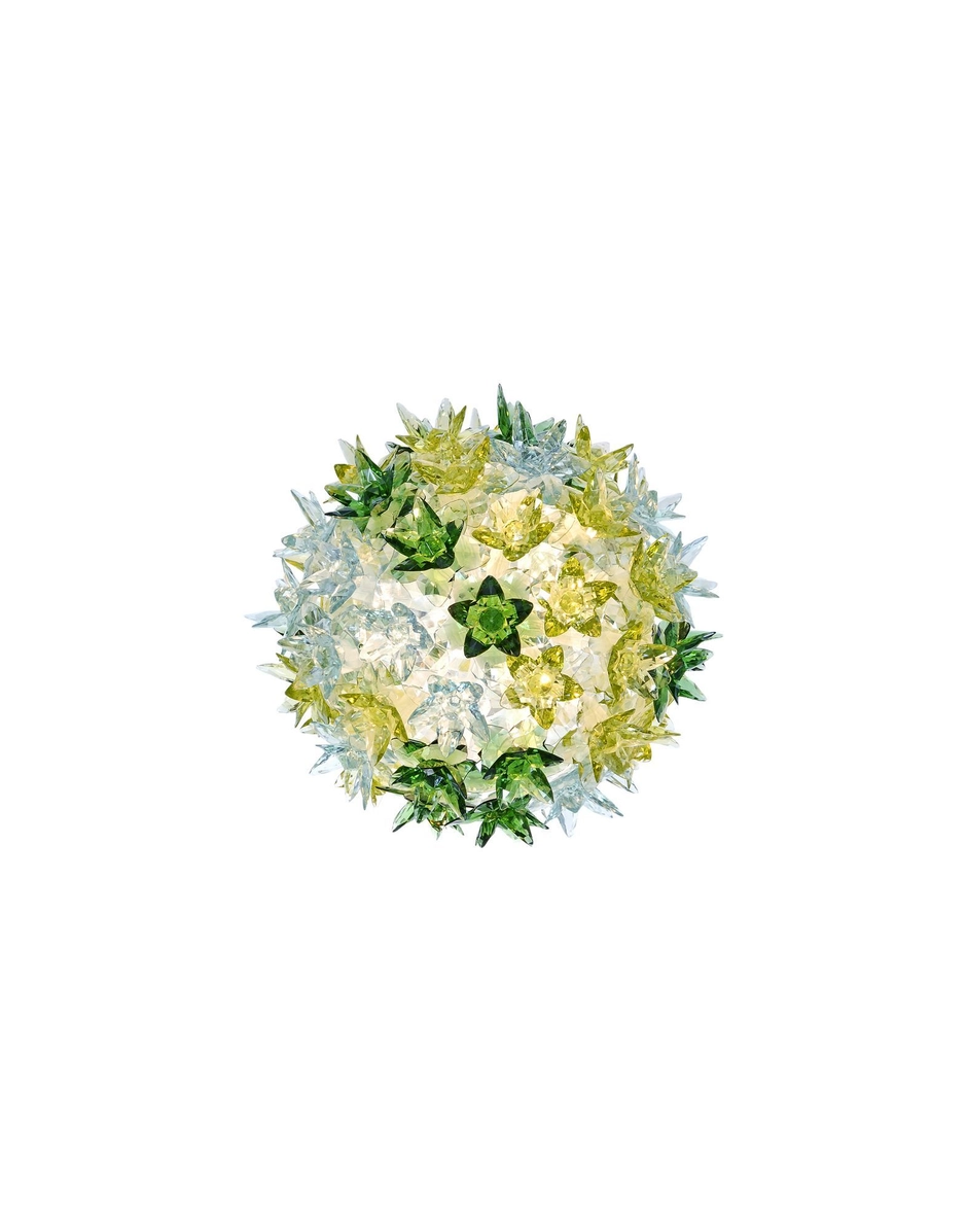 BLOOM  APPLIQUE