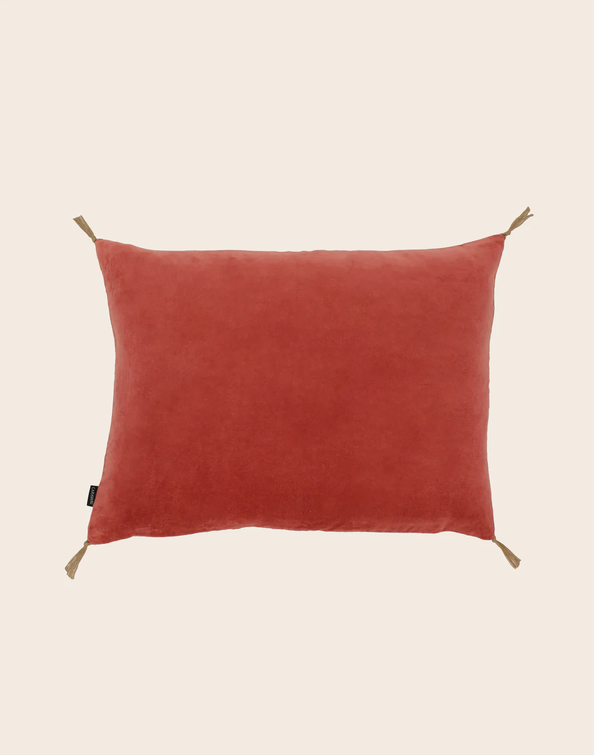 Housse de coussin Velours lavé 50x70