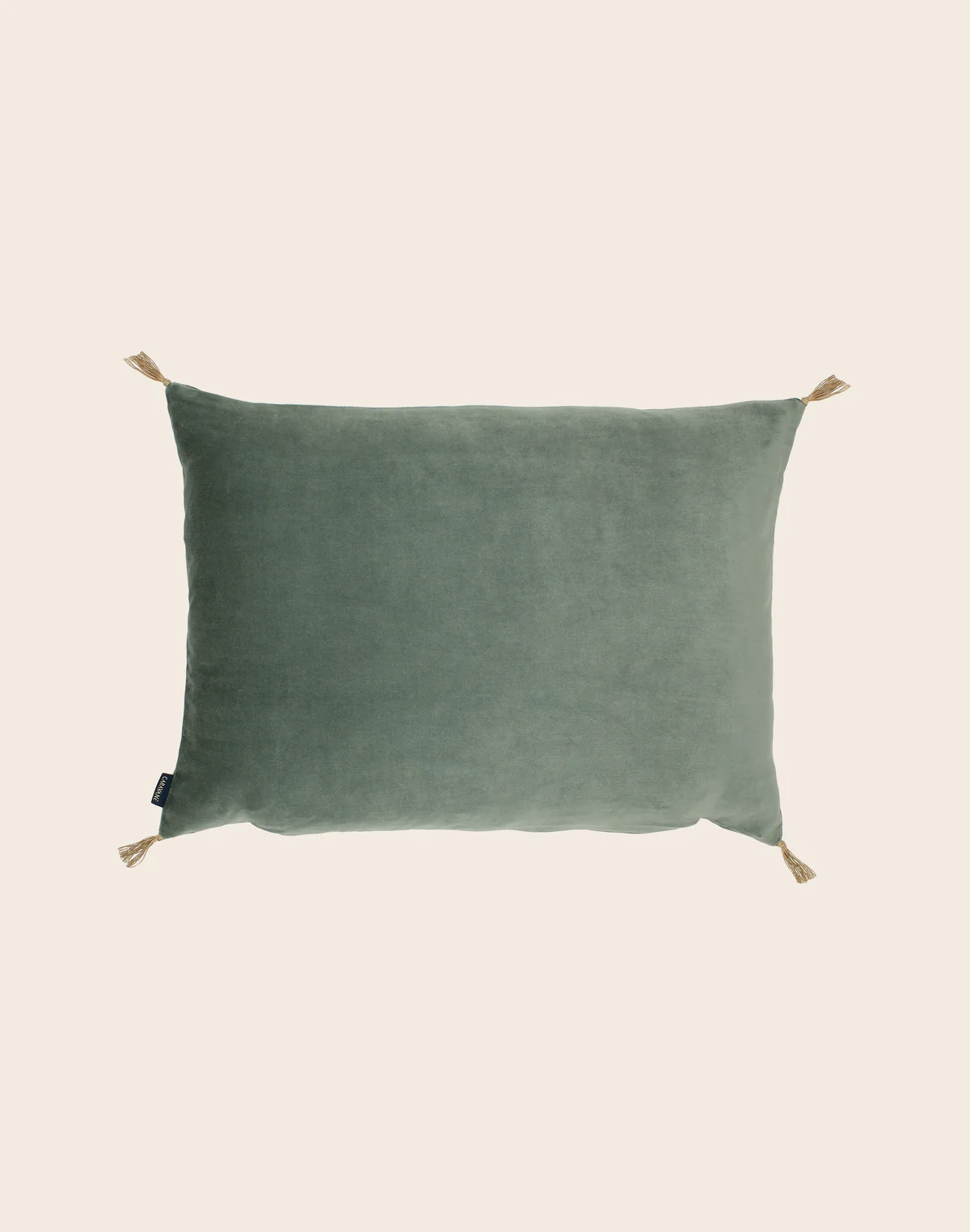 Housse de coussin Velours lavé 50x70