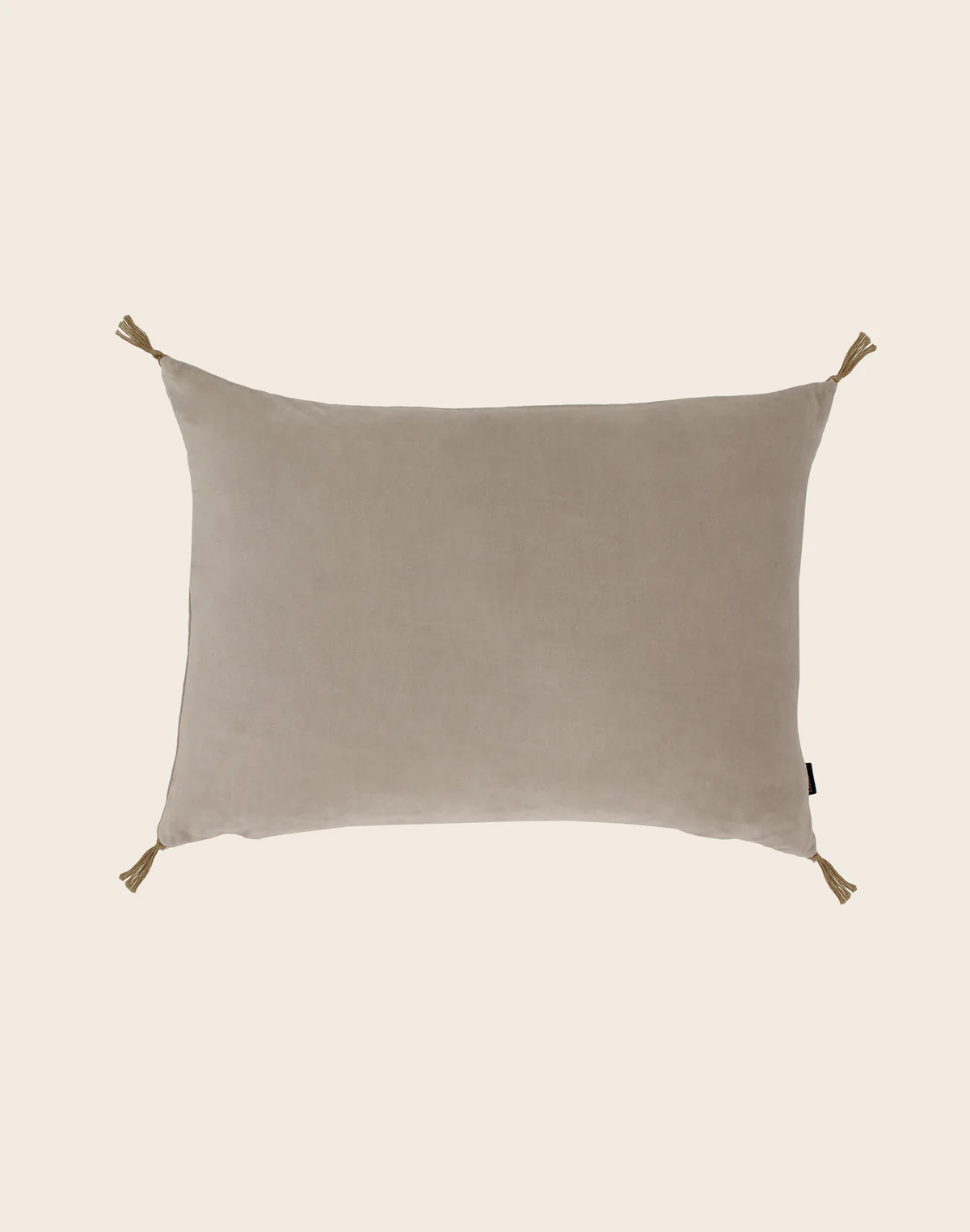 Housse de coussin Velours lavé 50x70