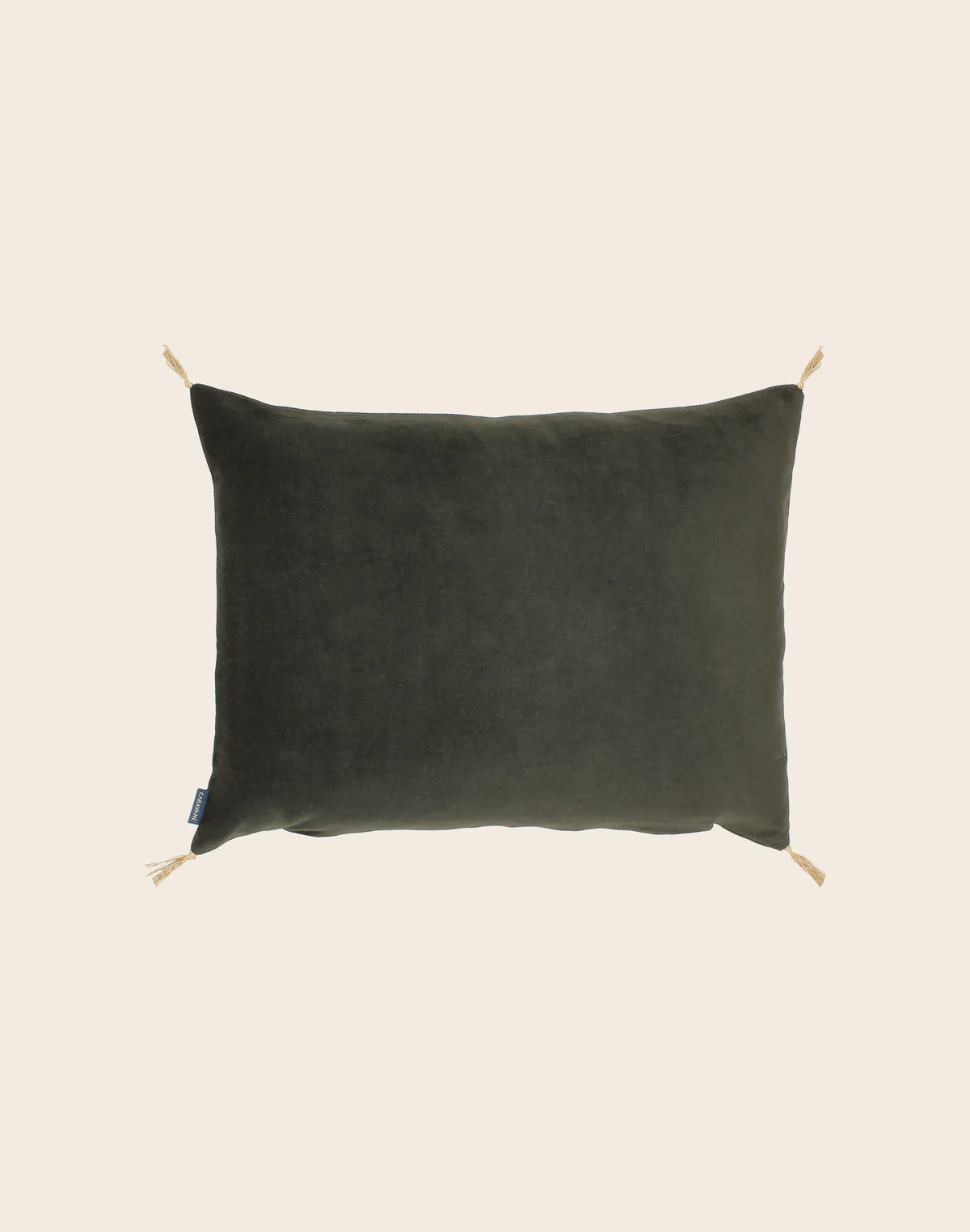 Housse de coussin Velours lavé 50x70