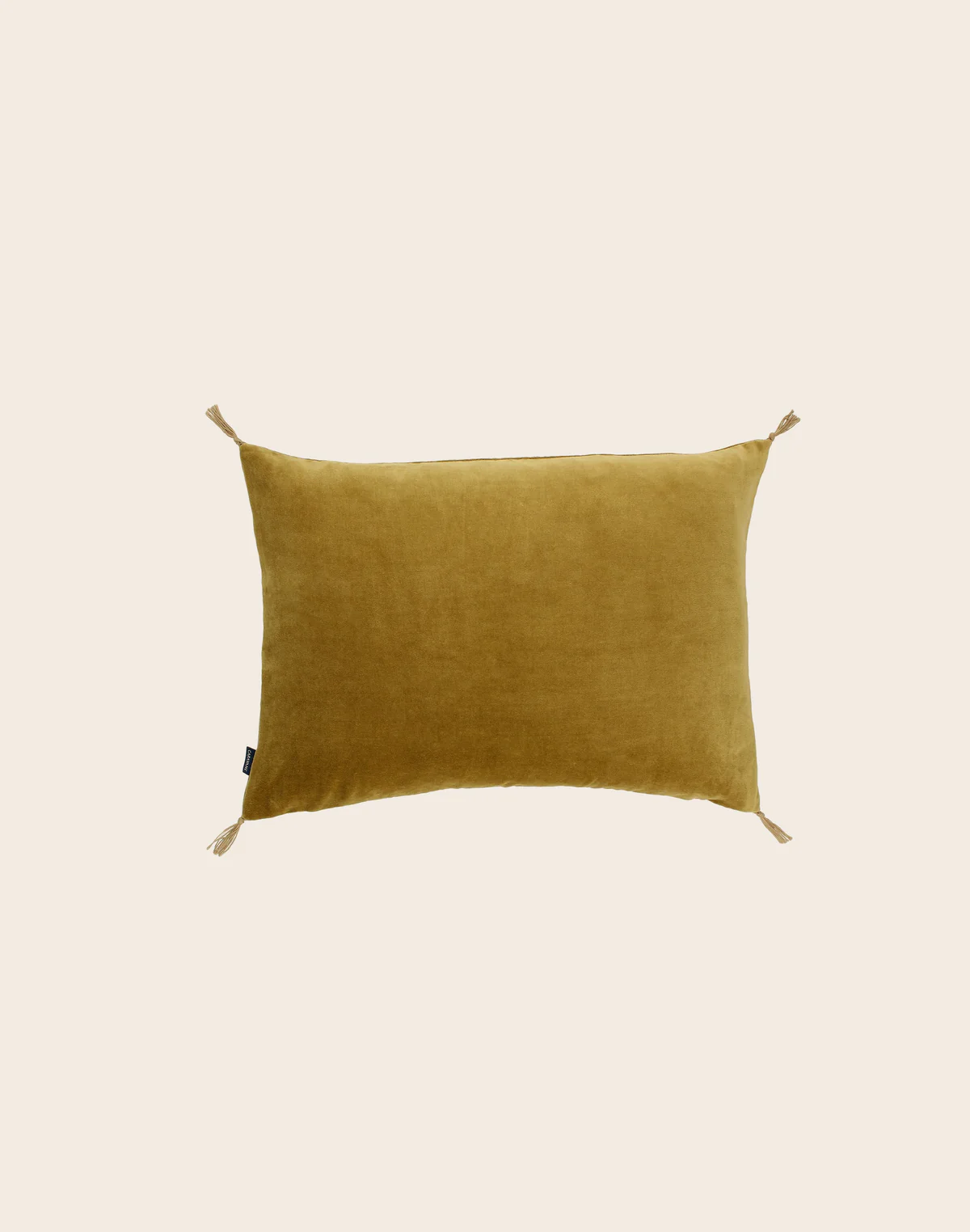 Housse de coussin Velours lavé 50x70