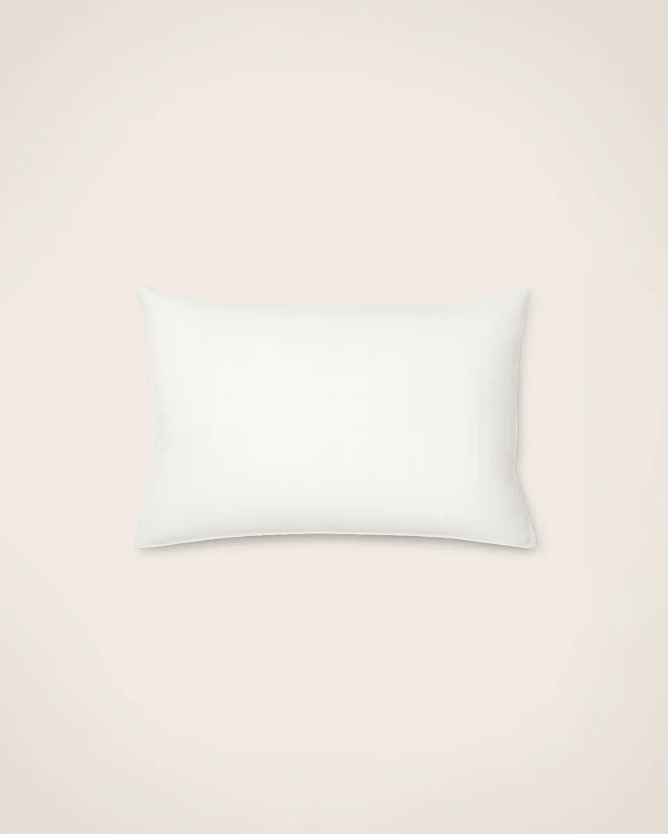 Intérieur de coussin 35X45
