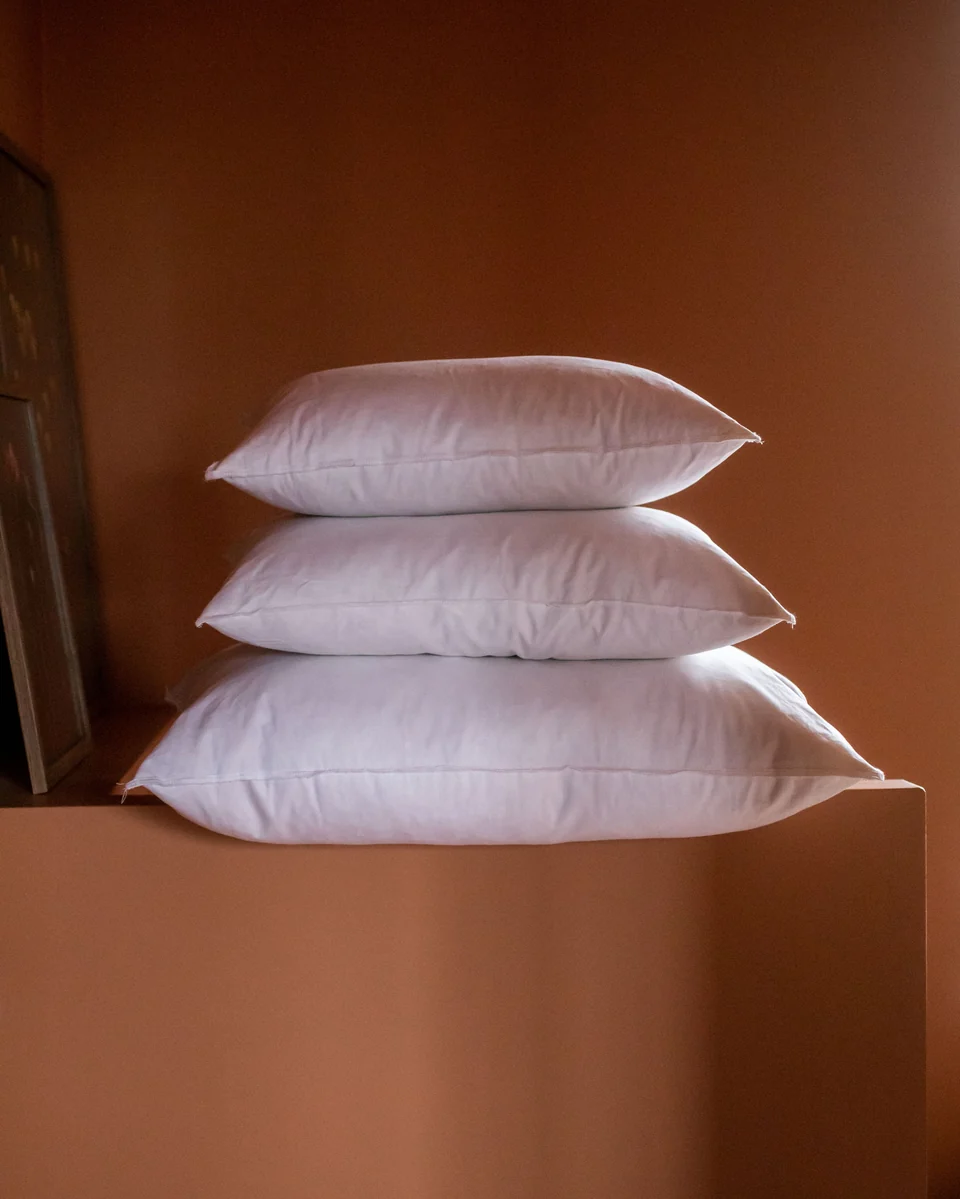 Intérieur de coussin 40x55