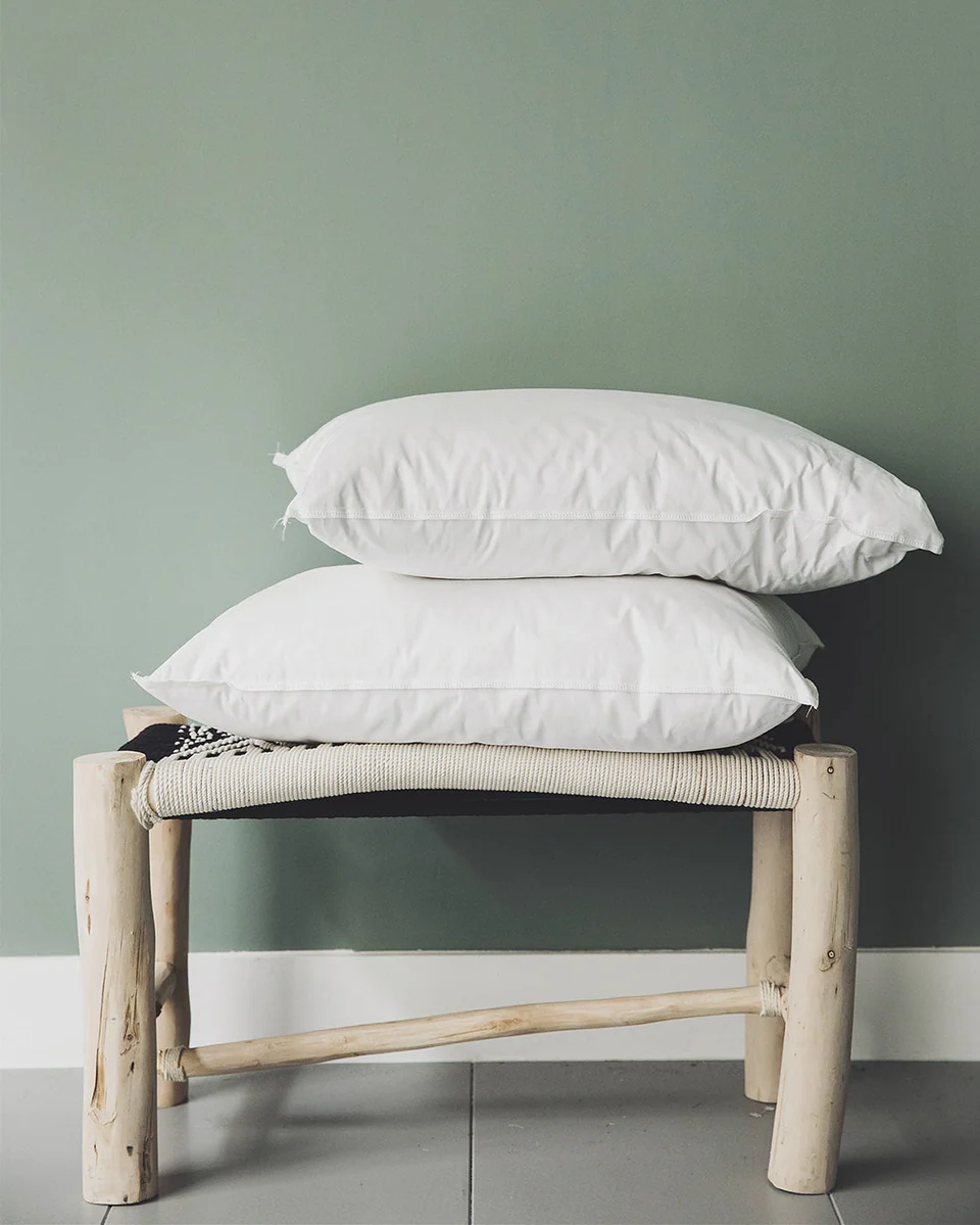 Intérieur de coussin 50x70