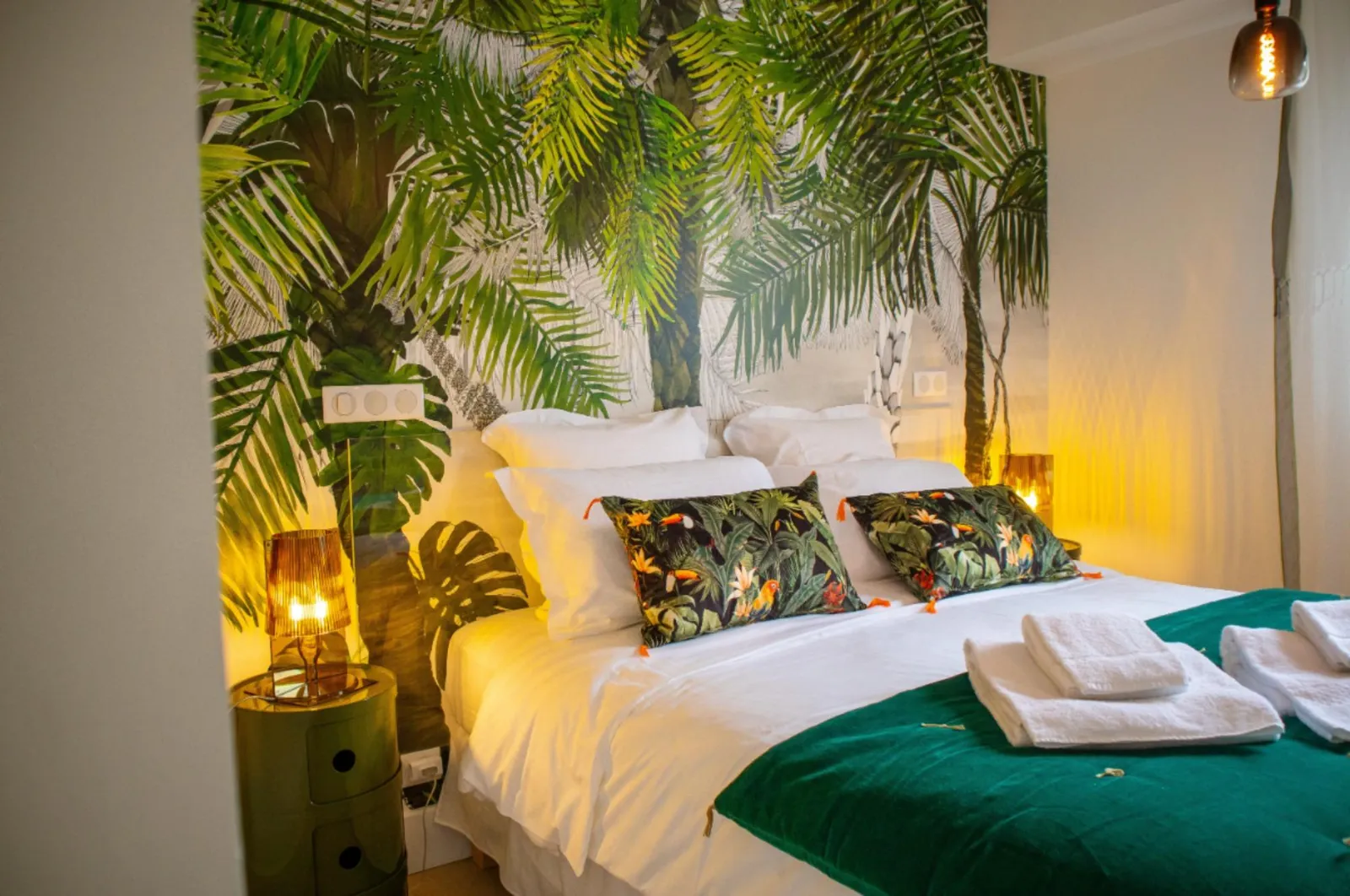 Location appartement - Salon avec plante